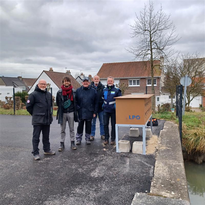 La LPO Hauts-de-France et VNF agissent pour la nidification des Hirondelles de rivage.